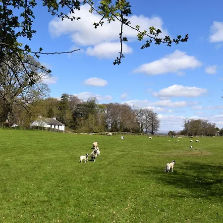 3 Bed In 80430 Сasa de vacaciones Pooley Bridge
